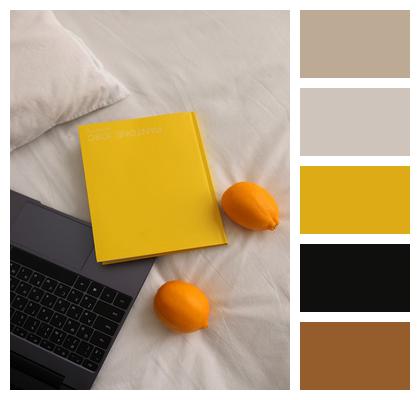 Bedroom Laptop Journal Diary Flat Lay Working In Bed Notebook Tangerines Image